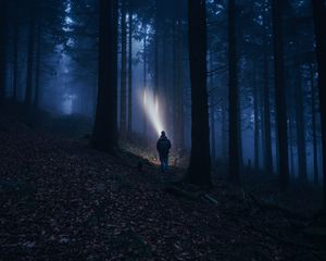 Preview wallpaper forest, fog, dark, man, flashlight