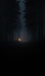Preview wallpaper forest, fog, darkness, gloom