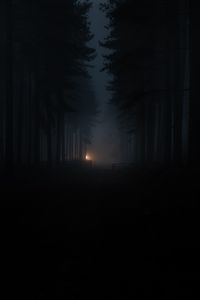 Preview wallpaper forest, fog, darkness, gloom