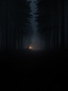 Preview wallpaper forest, fog, darkness, gloom