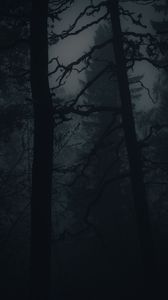 Preview wallpaper forest, fog, darkness, trees, dark