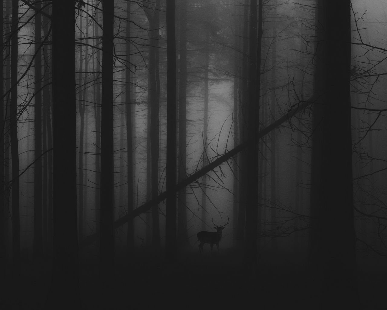 1280x1024 Wallpaper forest, fog, deer, bw, gloomy