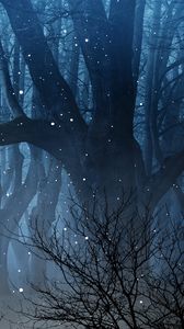 Preview wallpaper forest, fog, fireflies, branches