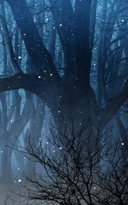 Preview wallpaper forest, fog, fireflies, branches