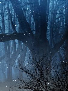 Preview wallpaper forest, fog, fireflies, branches