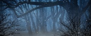 Preview wallpaper forest, fog, fireflies, branches