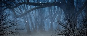 Preview wallpaper forest, fog, fireflies, branches