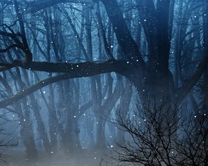 Preview wallpaper forest, fog, fireflies, branches