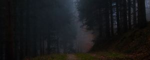 Preview wallpaper forest, fog, grass, dark, nature