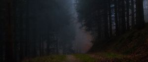 Preview wallpaper forest, fog, grass, dark, nature