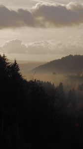 Preview wallpaper forest, fog, hills, landscape, nature
