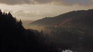 Preview wallpaper forest, fog, hills, landscape, nature