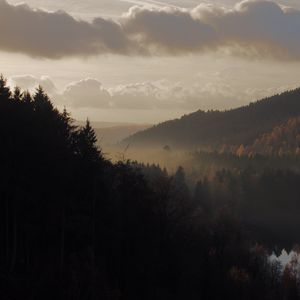 Preview wallpaper forest, fog, hills, landscape, nature