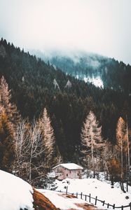 Preview wallpaper forest, fog, house, snow