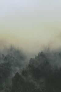 Preview wallpaper forest, fog, landscape, trees, nature