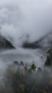 Preview wallpaper forest, fog, landscape, nature, trees