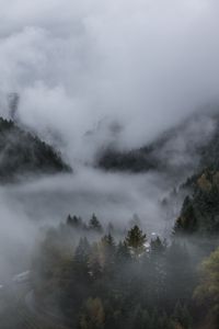 Preview wallpaper forest, fog, landscape, nature, trees