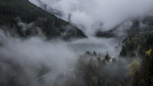 Preview wallpaper forest, fog, landscape, nature, trees
