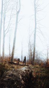 Preview wallpaper forest, fog, loneliness, lonely, solitude, trees