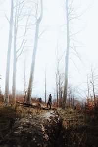 Preview wallpaper forest, fog, loneliness, lonely, solitude, trees