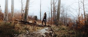 Preview wallpaper forest, fog, loneliness, lonely, solitude, trees