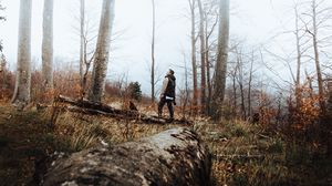 Preview wallpaper forest, fog, loneliness, lonely, solitude, trees