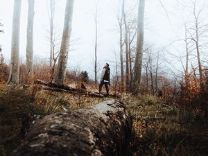 Preview wallpaper forest, fog, loneliness, lonely, solitude, trees