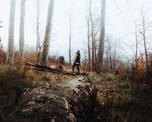 Preview wallpaper forest, fog, loneliness, lonely, solitude, trees