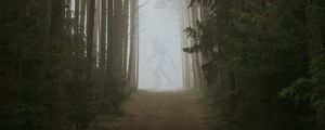 Preview wallpaper forest, fog, monster, silhouette