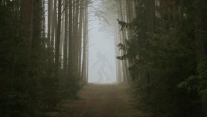 Preview wallpaper forest, fog, monster, silhouette