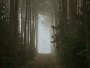 Preview wallpaper forest, fog, monster, silhouette