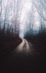 Preview wallpaper forest, fog, path, trees, autumn
