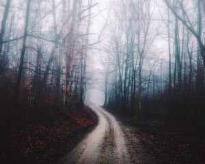 Preview wallpaper forest, fog, path, trees, autumn