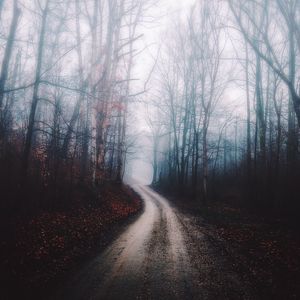 Preview wallpaper forest, fog, path, trees, autumn
