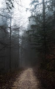 Preview wallpaper forest, fog, path, trees, walk, autumn