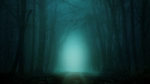 Preview wallpaper forest, fog, path, trees, twilight