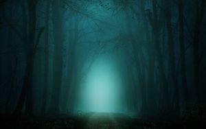 Preview wallpaper forest, fog, path, trees, twilight