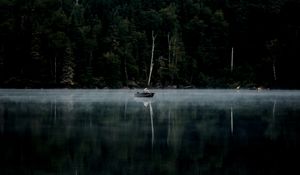 Preview wallpaper forest, fog, river, boat