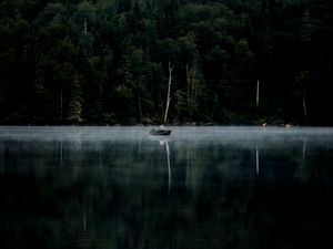 Preview wallpaper forest, fog, river, boat