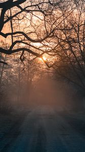 Preview wallpaper forest, fog, road, trees, sunset