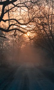 Preview wallpaper forest, fog, road, trees, sunset