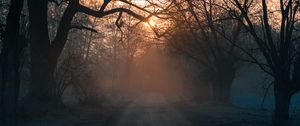 Preview wallpaper forest, fog, road, trees, sunset