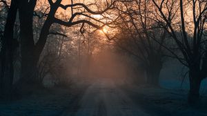 Preview wallpaper forest, fog, road, trees, sunset