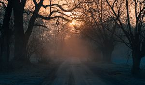 Preview wallpaper forest, fog, road, trees, sunset