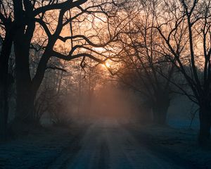 Preview wallpaper forest, fog, road, trees, sunset