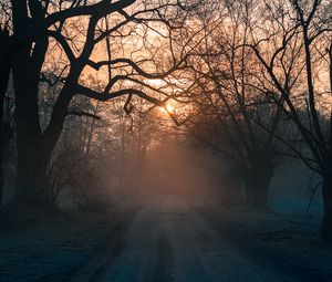 Preview wallpaper forest, fog, road, trees, sunset