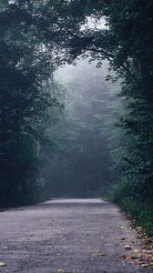 Preview wallpaper forest, fog, road, turn, trees
