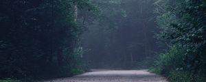 Preview wallpaper forest, fog, road, turn, trees