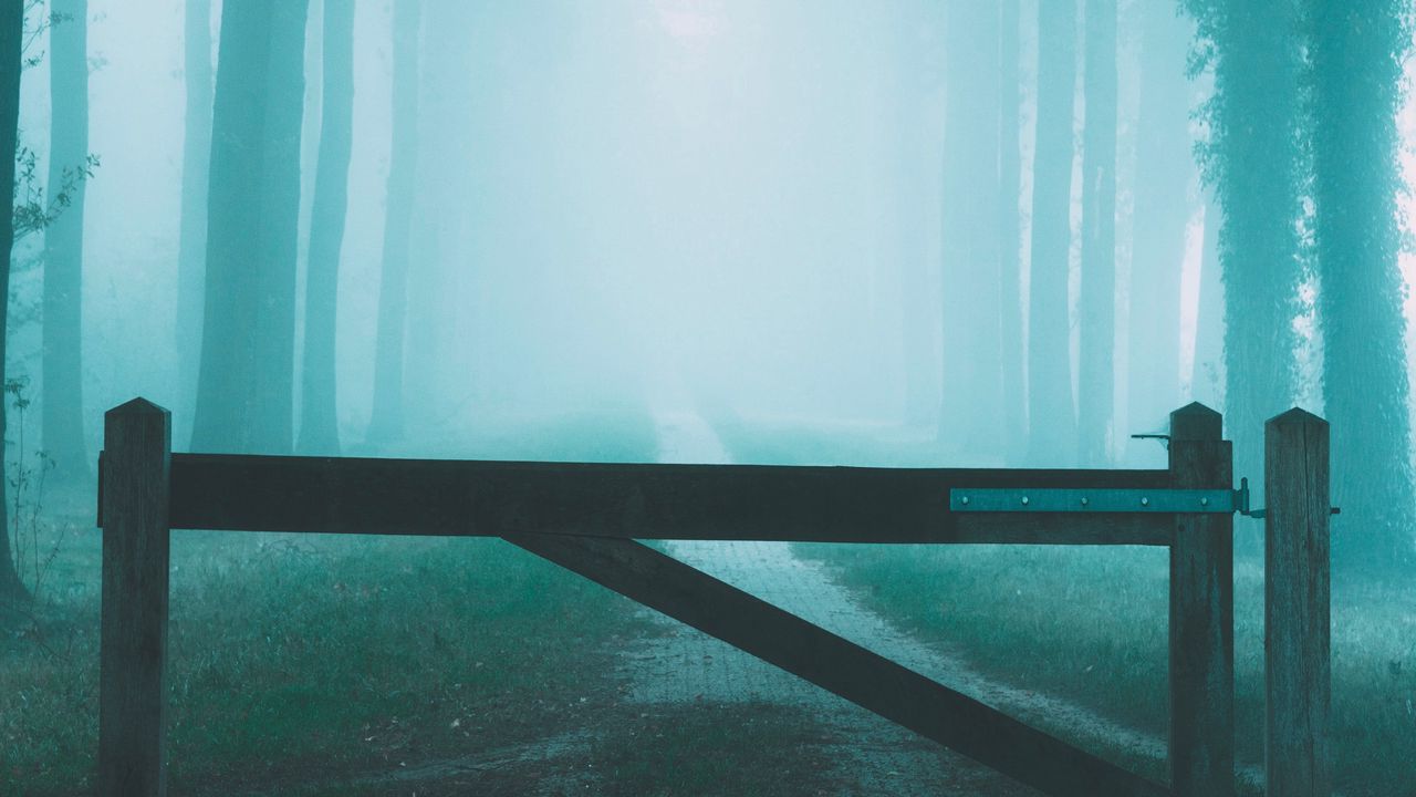 Wallpaper forest, fog, road, barrier