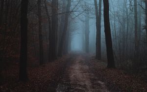 Preview wallpaper forest, fog, road, autumn, landscape